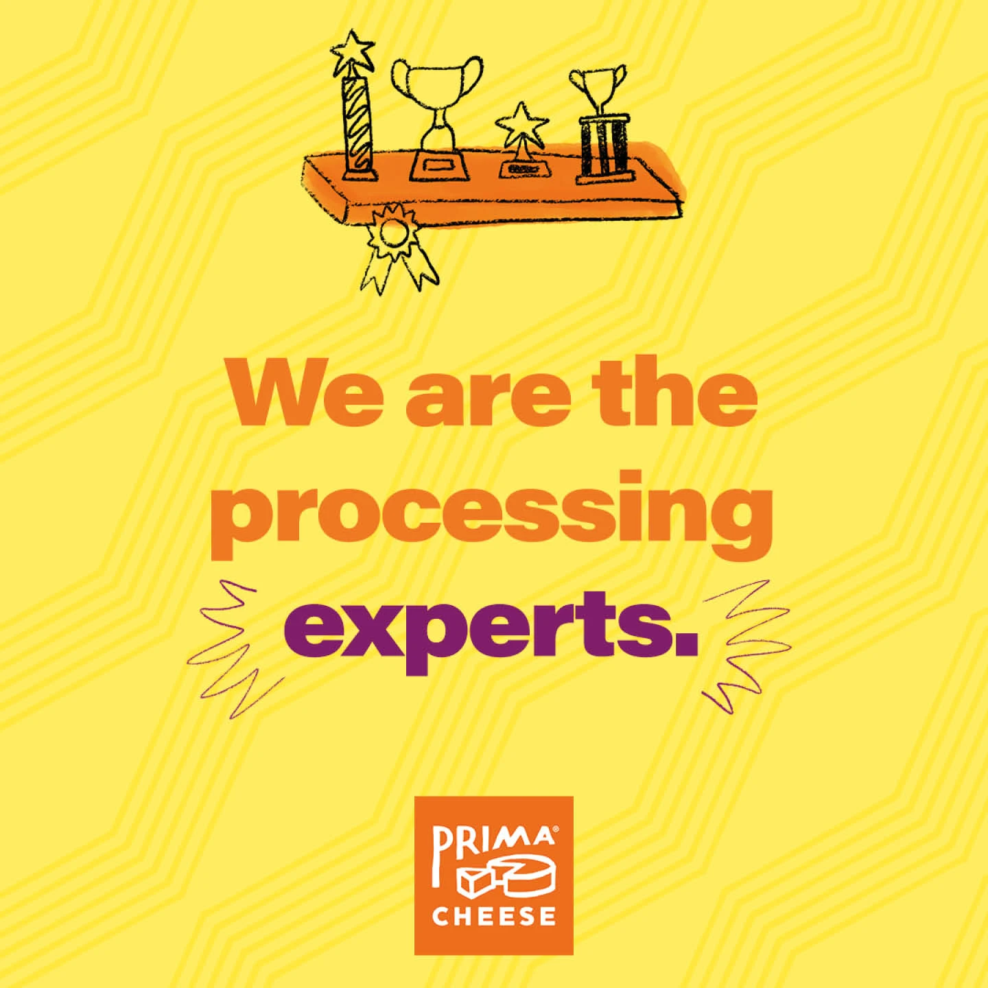 Yellow background with pale orange zigzags. Bold orange and purple text is overlaid on top of it. It says, We are the processing experts. Above the text, there is a hand drawn illustration of a shelf displaying various trophies.