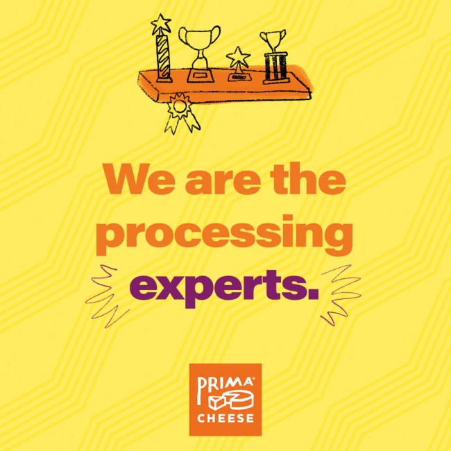 Yellow background with pale orange zigzags. Bold orange and purple text is overlaid on top of it. It says, We are the processing experts. Above the text, there is a hand drawn illustration of a shelf displaying various trophies.